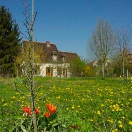 Chambres D'Hotes Les Pierries Vezannes Luaran gambar